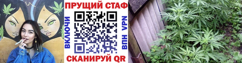 Купить наркотики цена Новомичуринск Конопля Меф