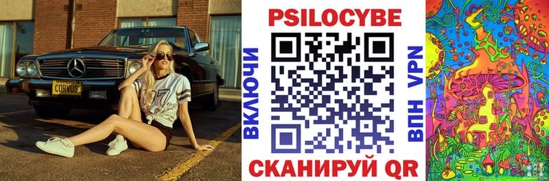 наркотики Новомичуринск Галлюциногенные грибы Psilocybine cubensis